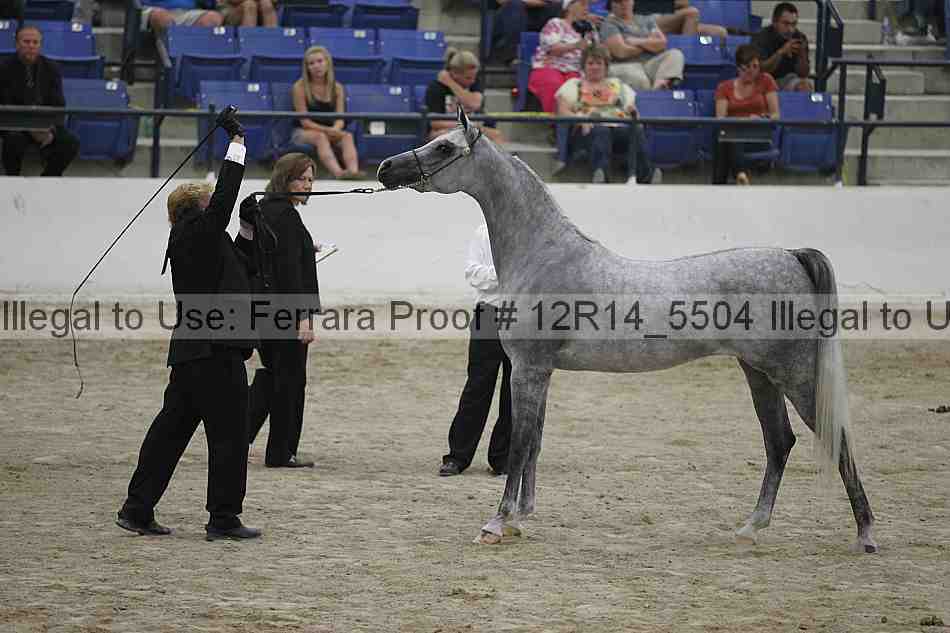 Proof Number 12r14_5504