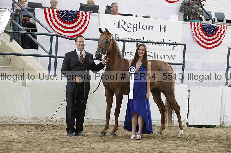 Proof Number 12r14_5513