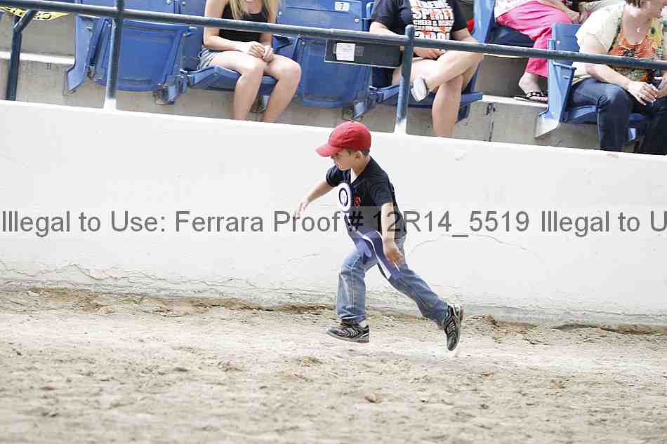 Proof Number 12r14_5519