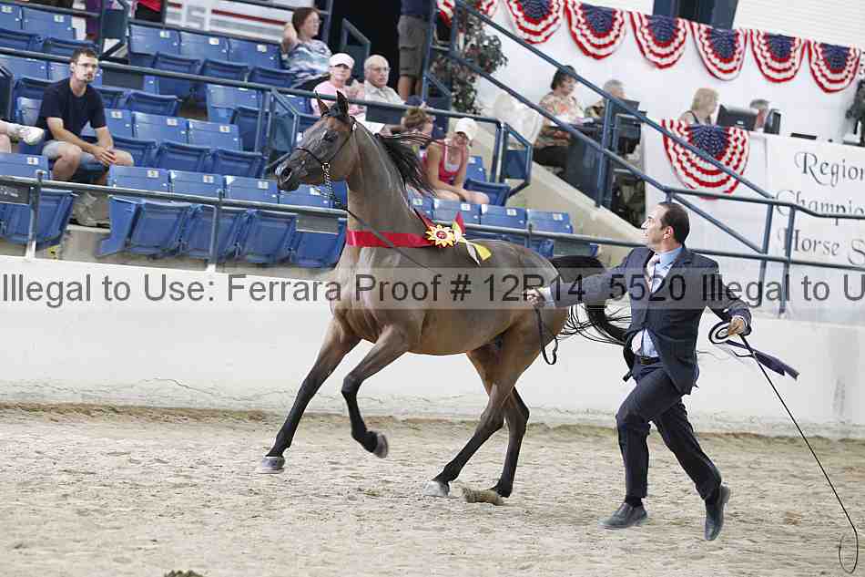 Proof Number 12r14_5520