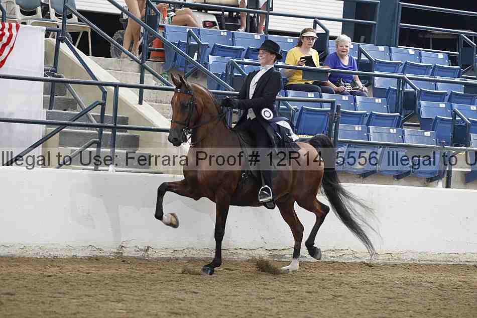 Proof Number 12r14_5556