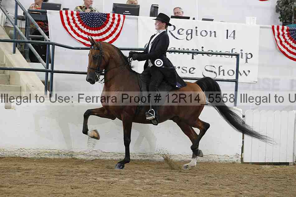 Proof Number 12r14_5558