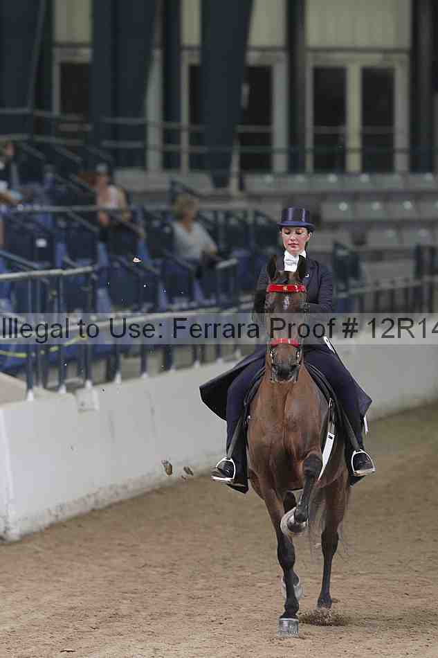 Proof Number 12r14_5565