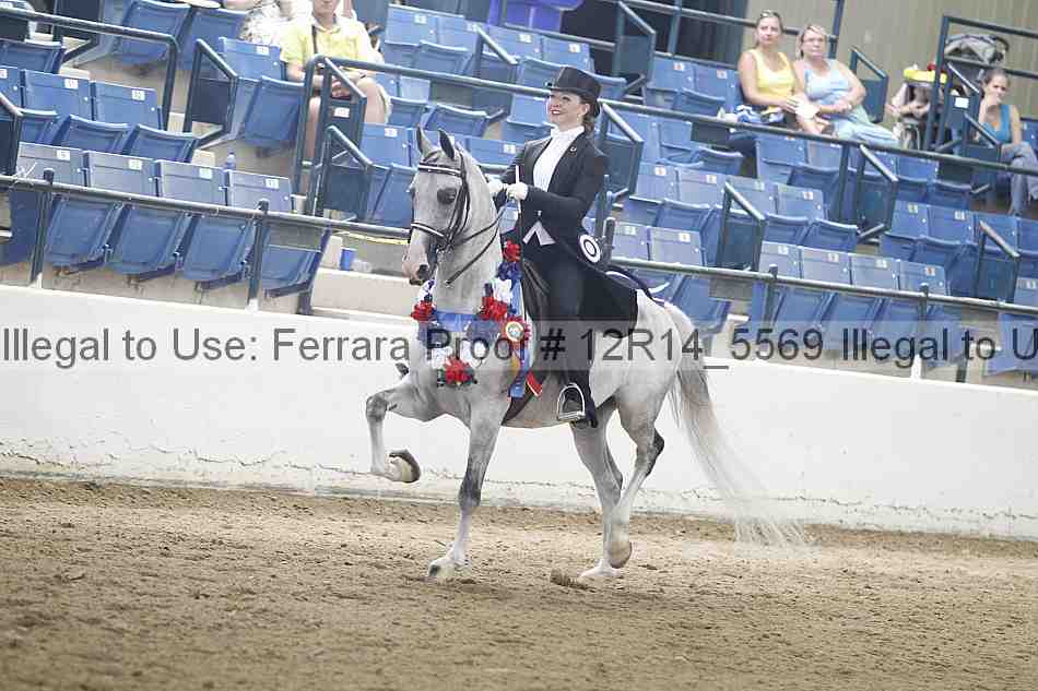 Proof Number 12r14_5569