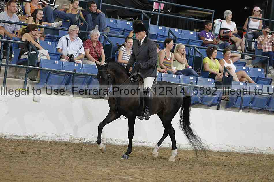Proof Number 12r14_5582