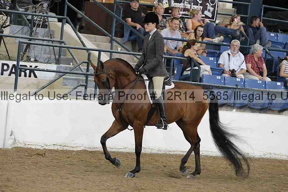 Proof Number 12r14_5585