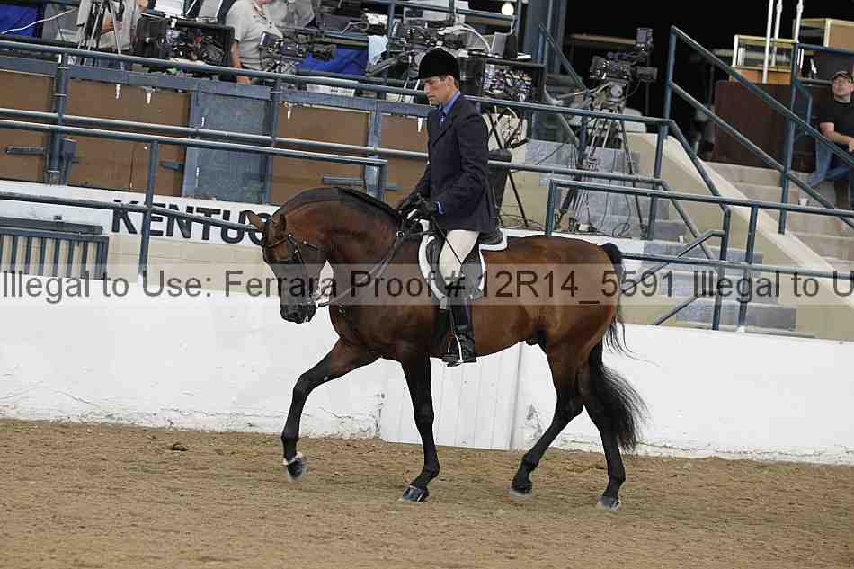 Proof Number 12r14_5591