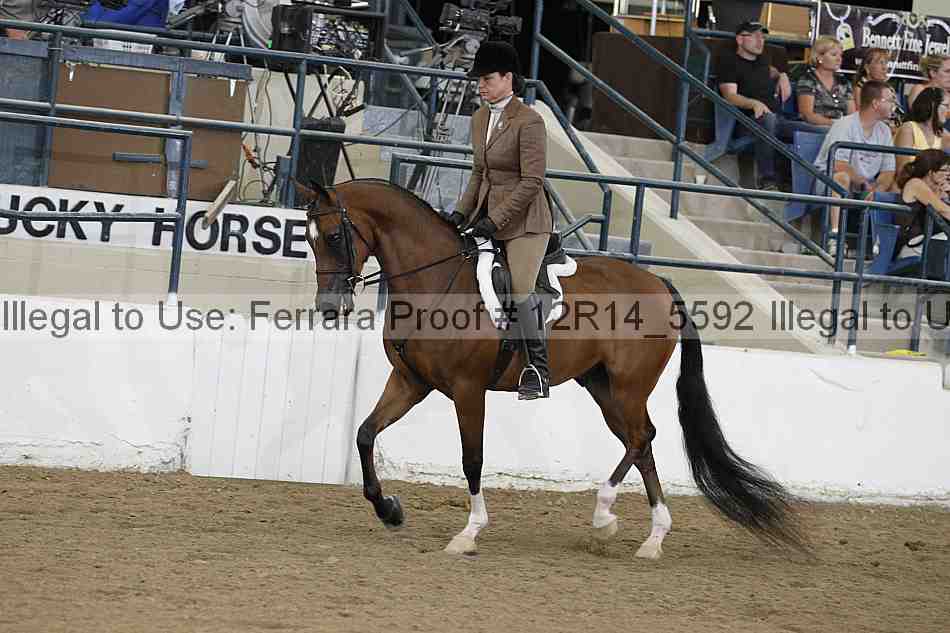 Proof Number 12r14_5592