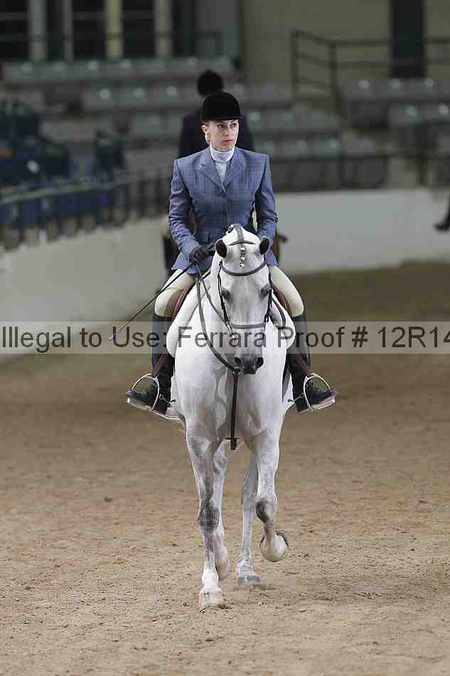 Proof Number 12r14_5608