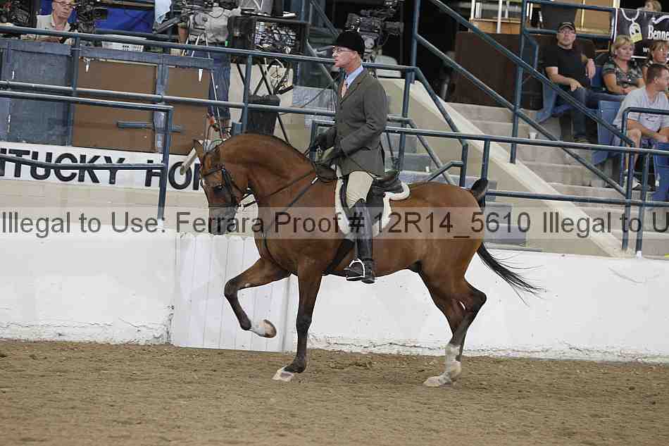 Proof Number 12r14_5610