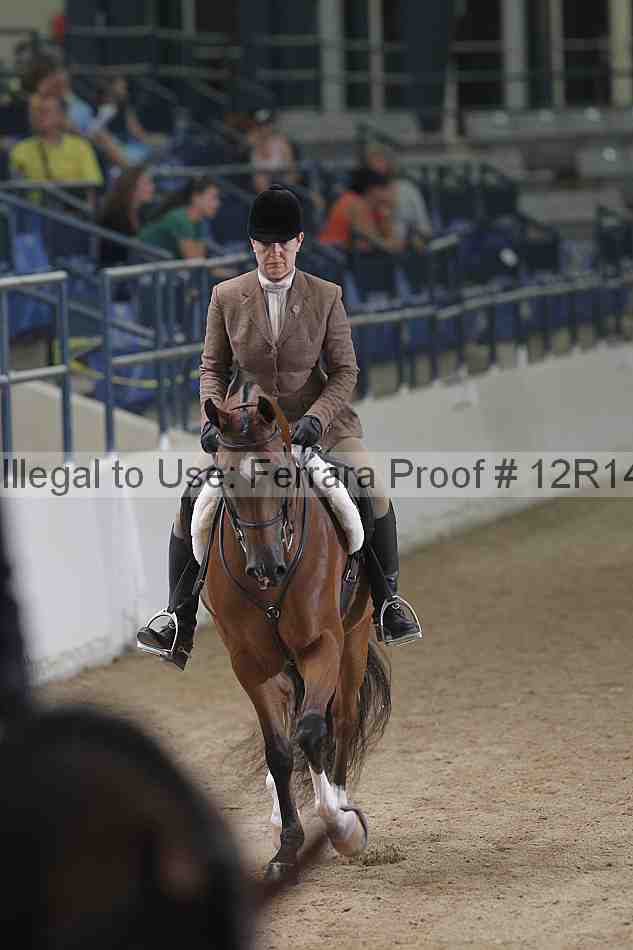Proof Number 12r14_5613