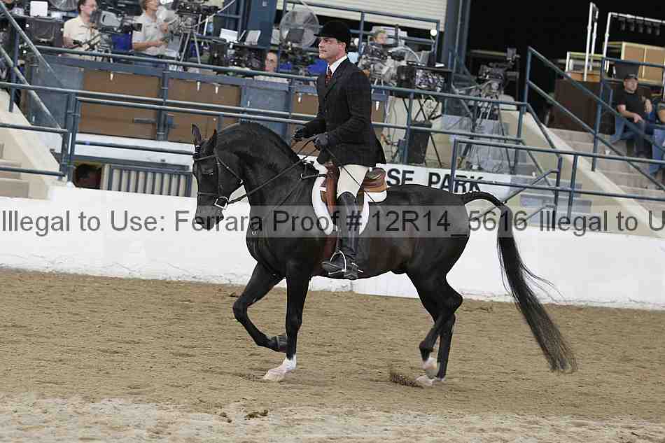 Proof Number 12r14_5616