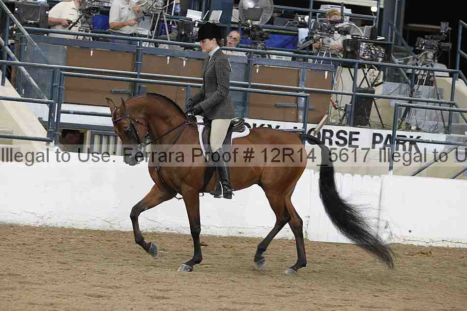 Proof Number 12r14_5617