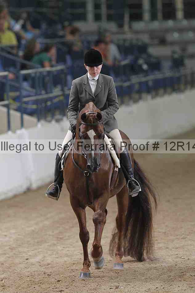 Proof Number 12r14_5619