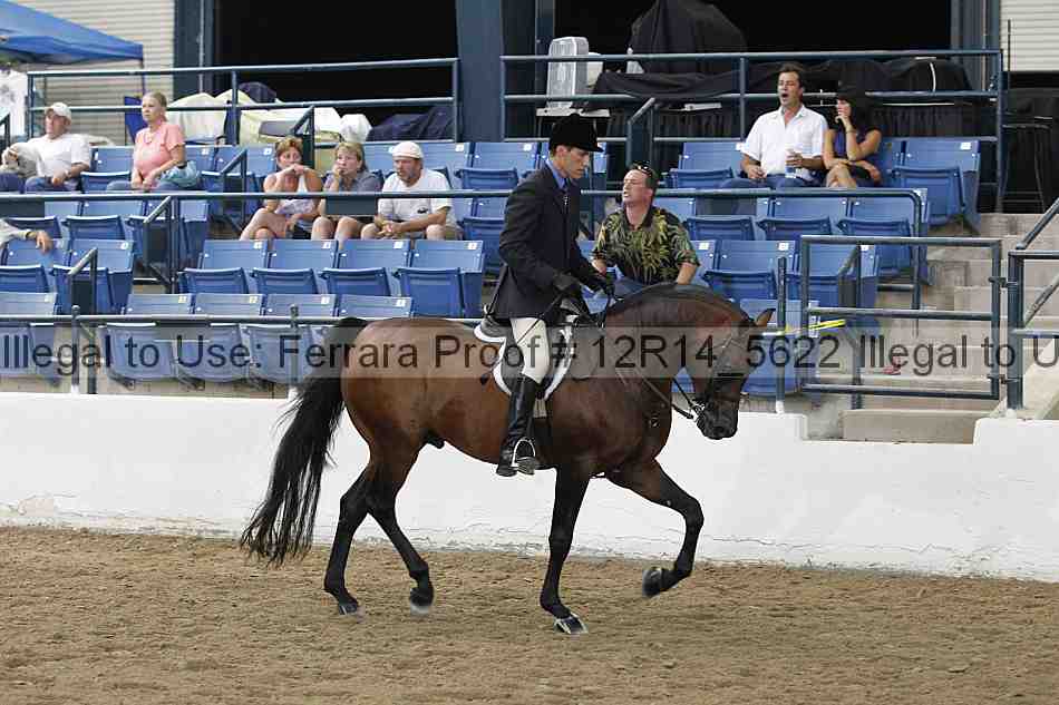 Proof Number 12r14_5622