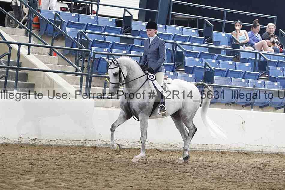Proof Number 12r14_5631