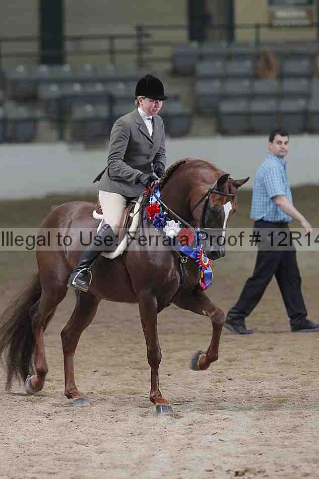 Proof Number 12r14_5632