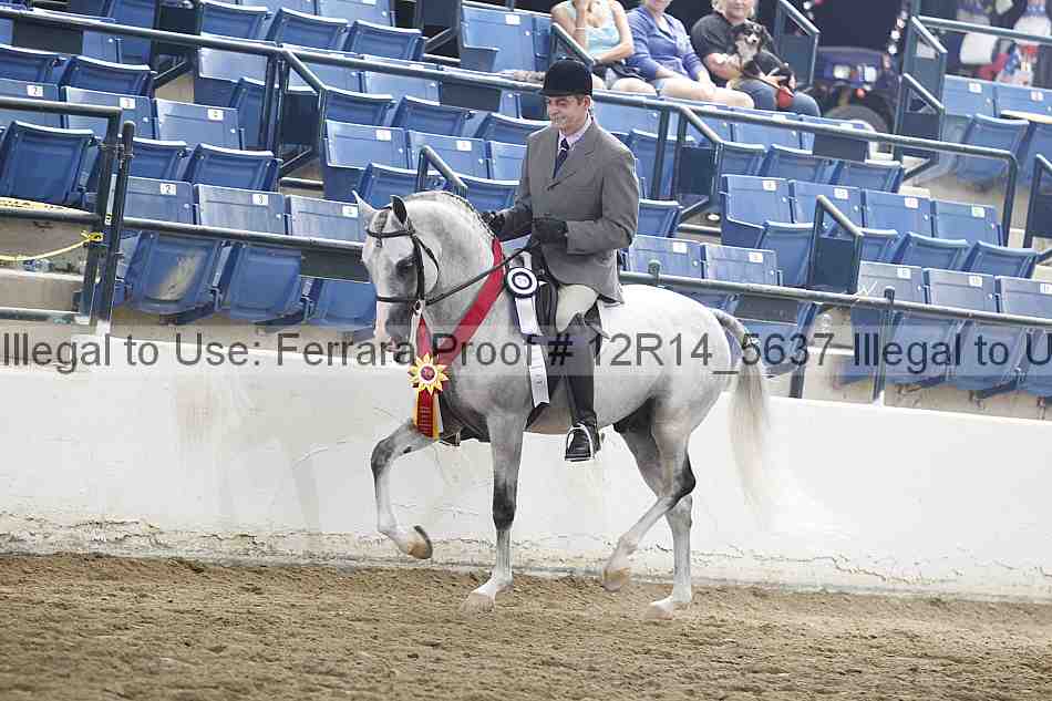 Proof Number 12r14_5637