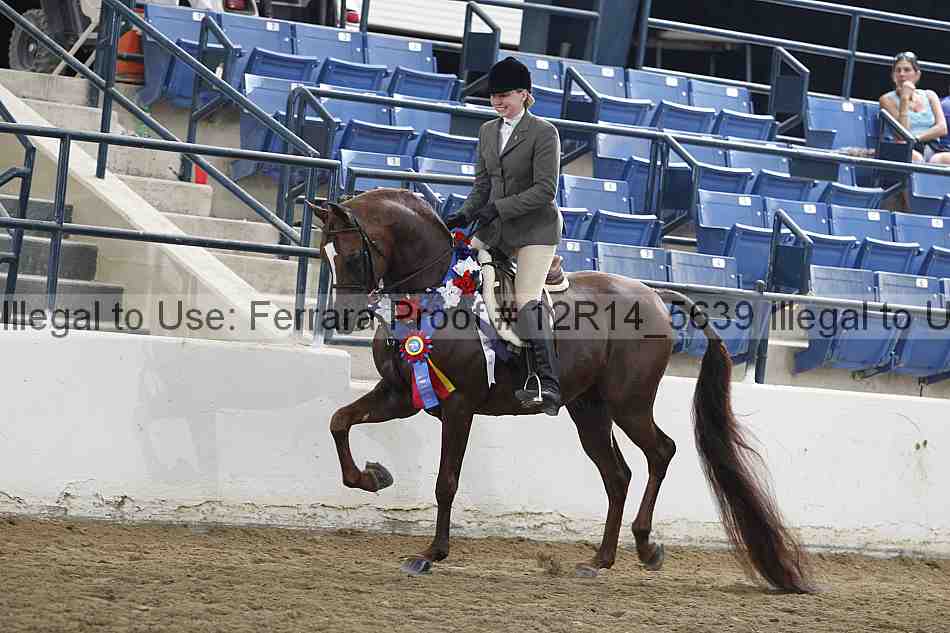 Proof Number 12r14_5639