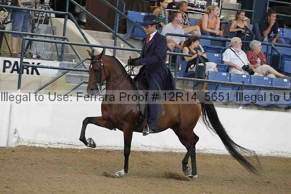 Proof Number 12r14_5651