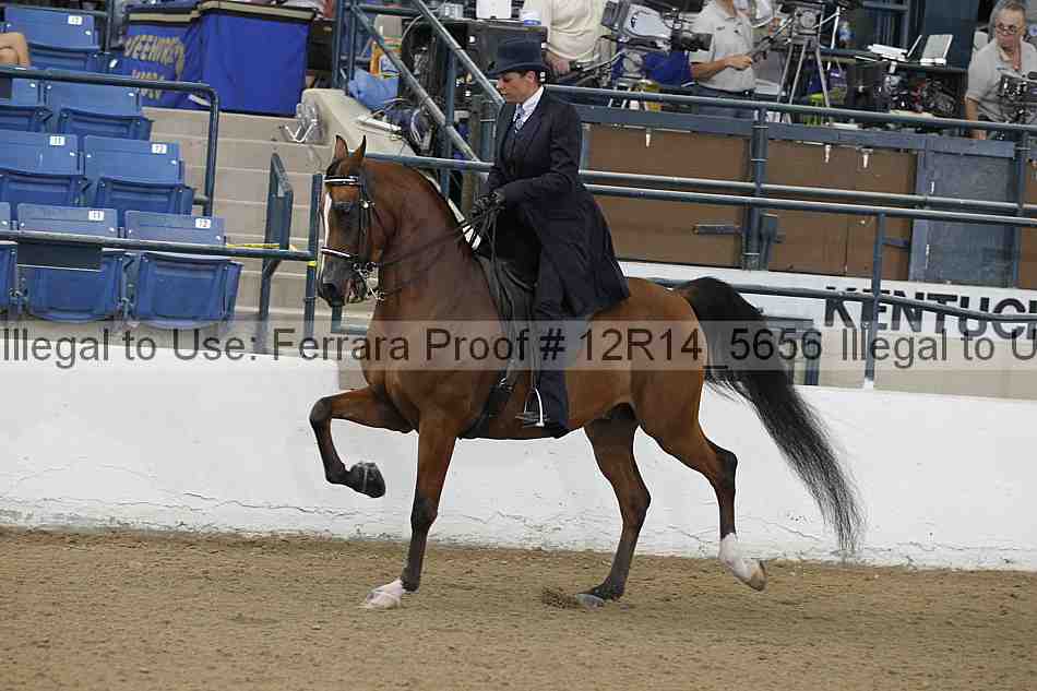 Proof Number 12r14_5656