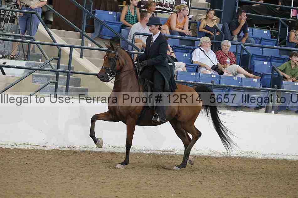 Proof Number 12r14_5657