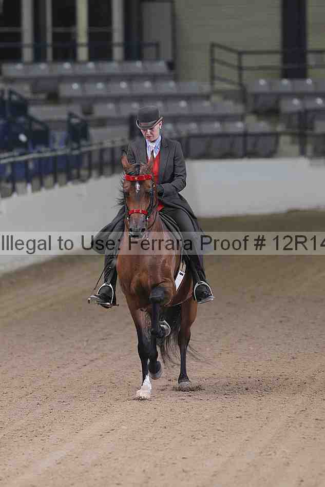 Proof Number 12r14_5660