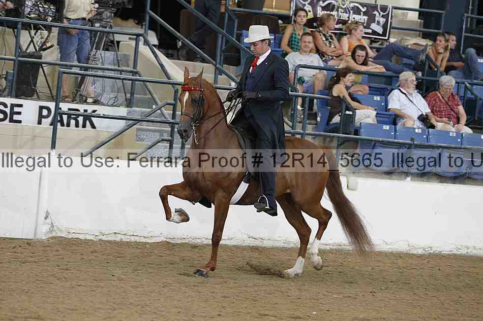 Proof Number 12r14_5665