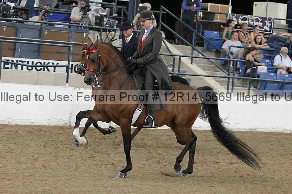 Proof Number 12r14_5669