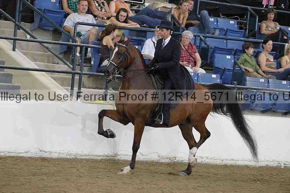 Proof Number 12r14_5671