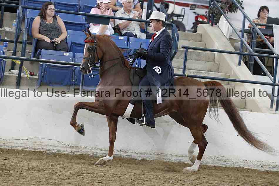 Proof Number 12r14_5678