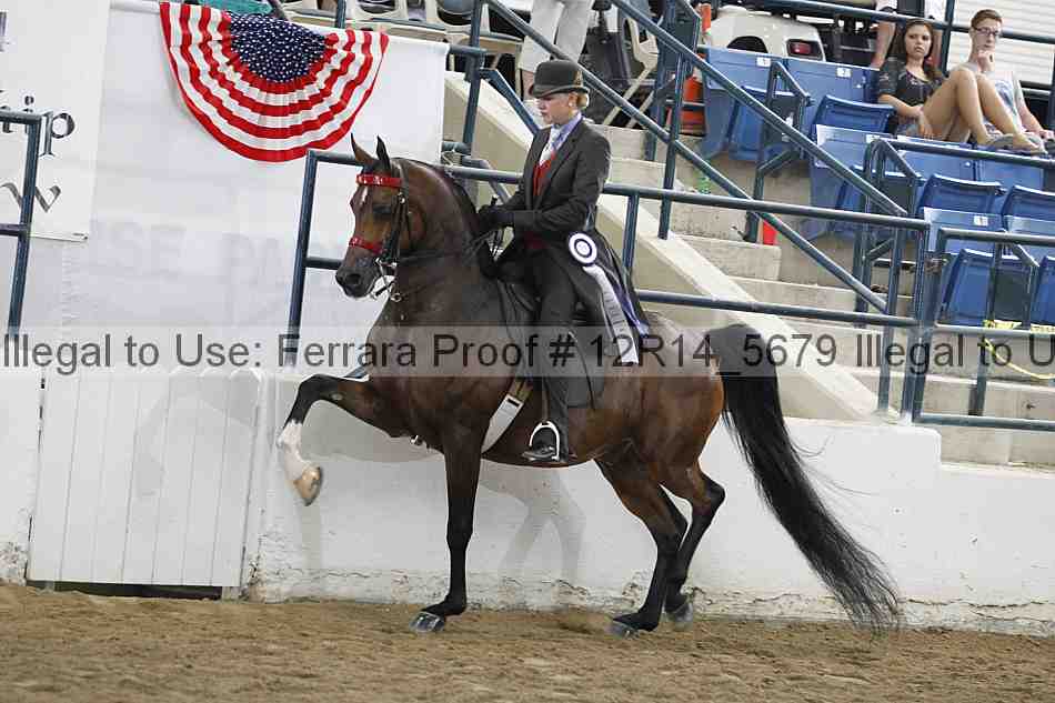 Proof Number 12r14_5679