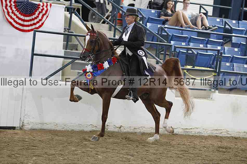 Proof Number 12r14_5687
