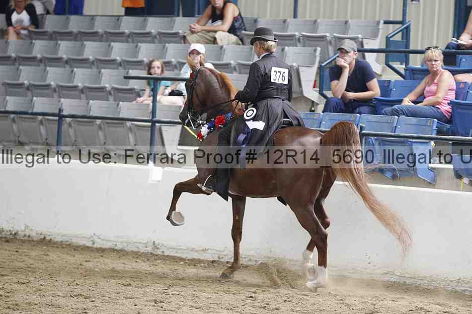 Proof Number 12r14_5690