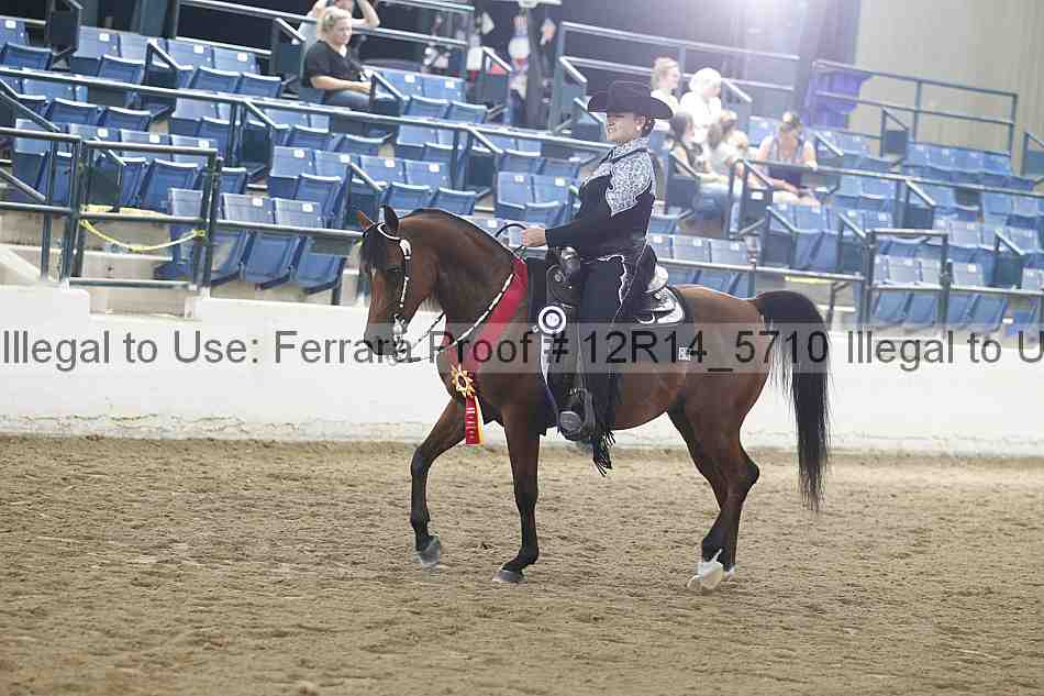 Proof Number 12r14_5710