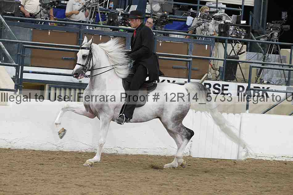 Proof Number 12r14_5733