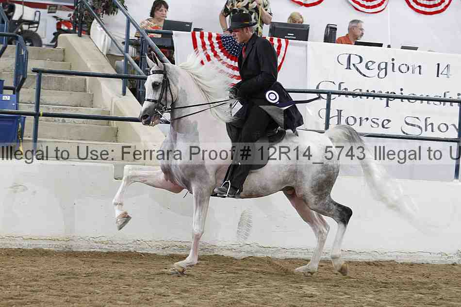 Proof Number 12r14_5743