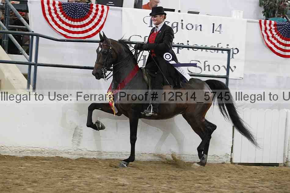 Proof Number 12r14_5745