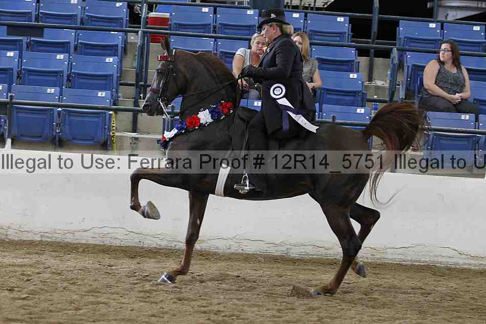 Proof Number 12r14_5751