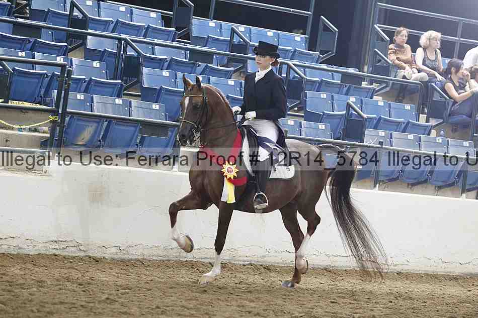 Proof Number 12r14_5784