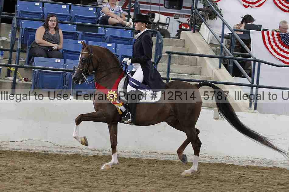 Proof Number 12r14_5787