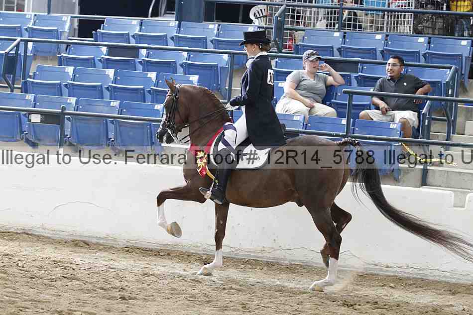 Proof Number 12r14_5788