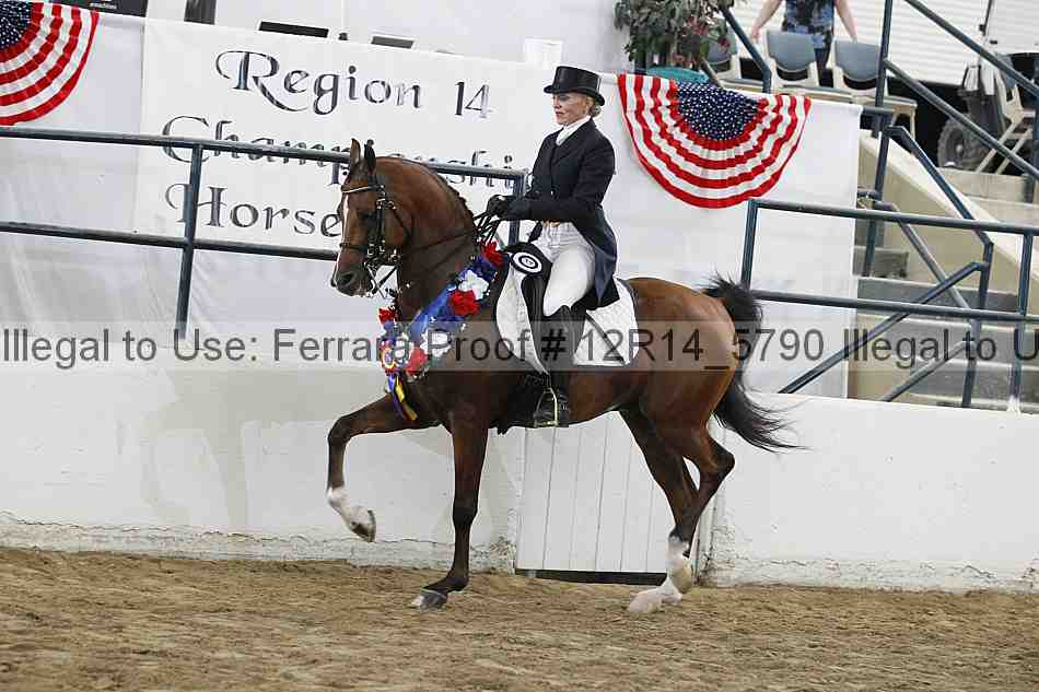 Proof Number 12r14_5790