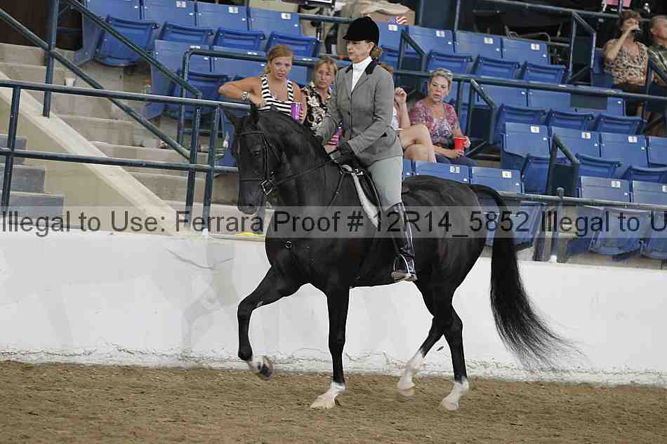 Proof Number 12r14_5852