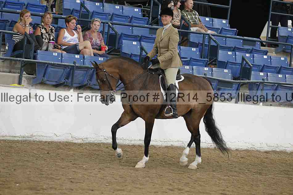 Proof Number 12r14_5853