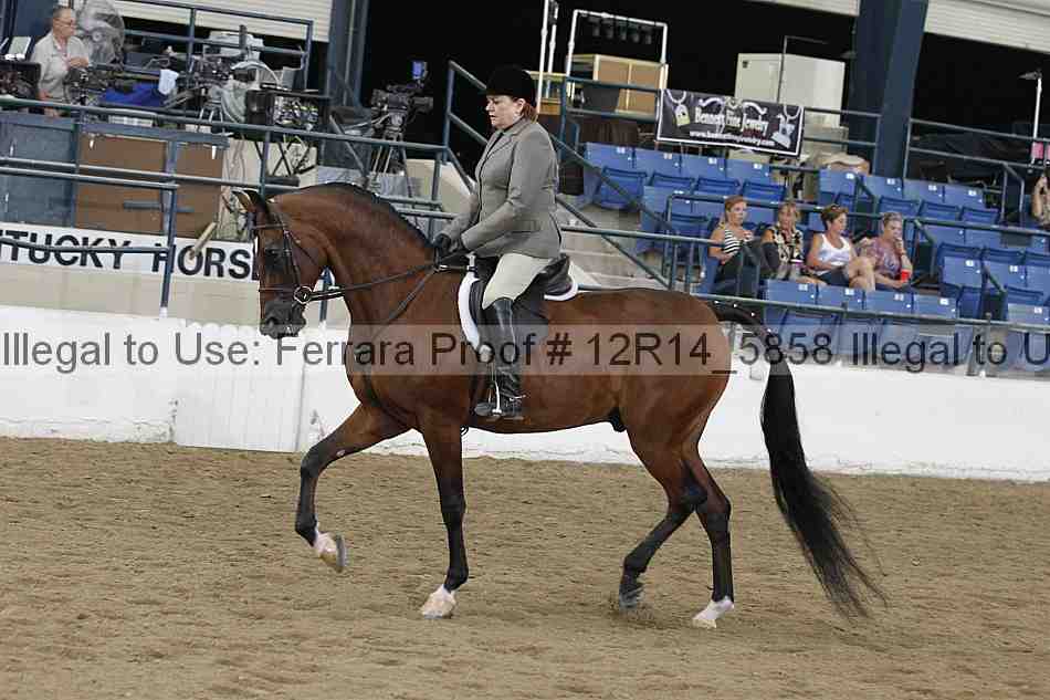 Proof Number 12r14_5858