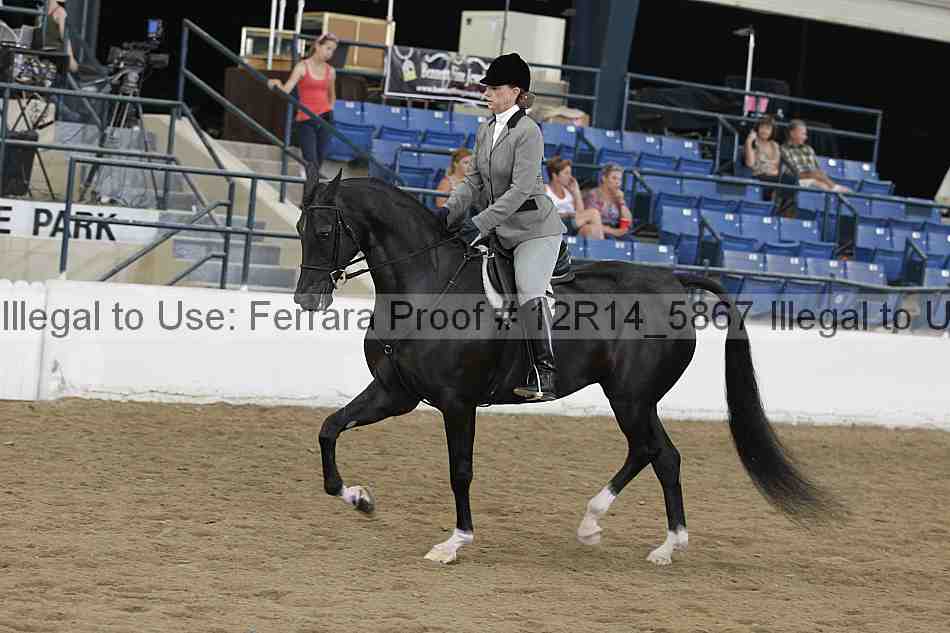 Proof Number 12r14_5867
