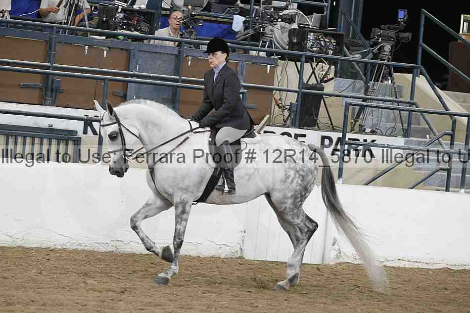 Proof Number 12r14_5870