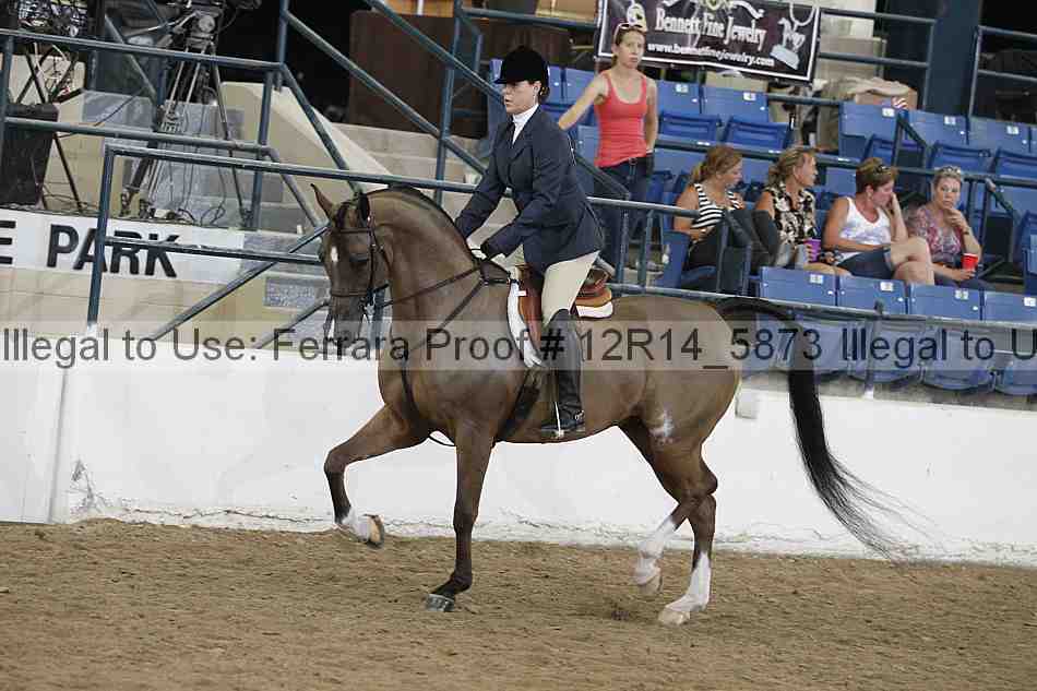 Proof Number 12r14_5873