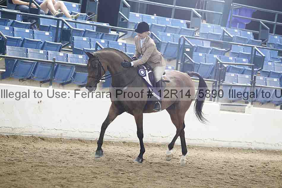 Proof Number 12r14_5890